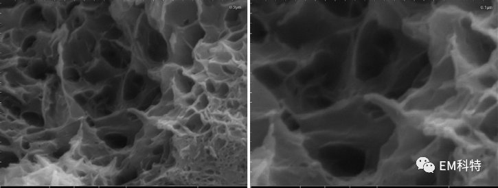 EM科特掃描電鏡用于水化硅酸鈣凝膠形貌