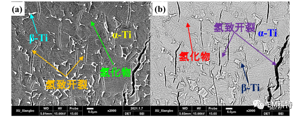 EM科特掃描電鏡揭示鈦合金的氫損傷形式及其與微觀組織間的關(guān)系